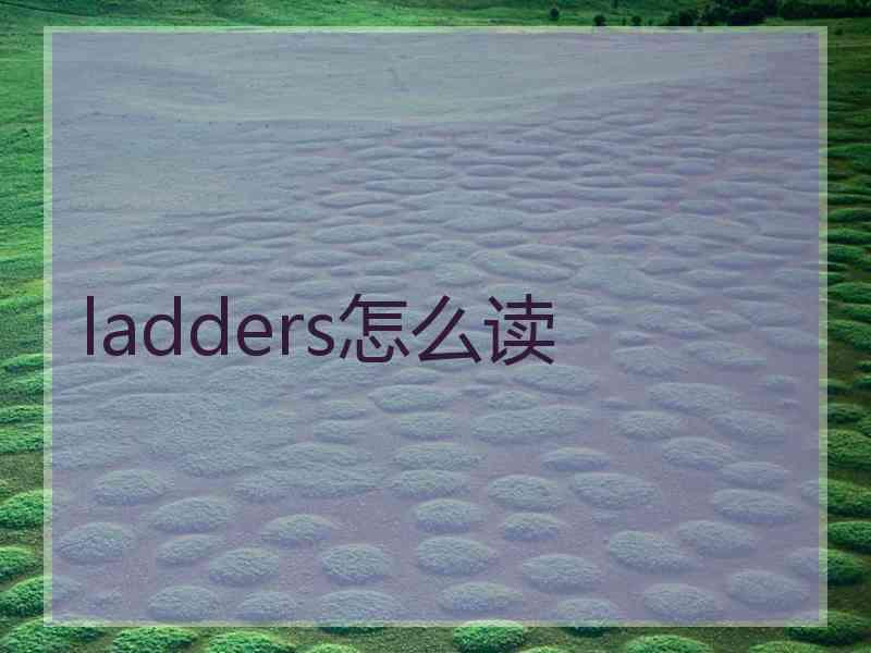 ladders怎么读