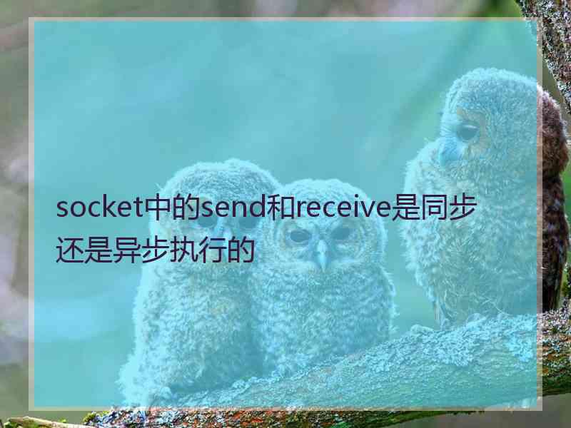 socket中的send和receive是同步还是异步执行的