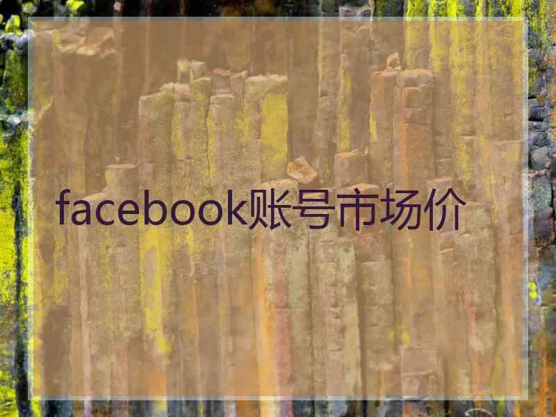 facebook账号市场价