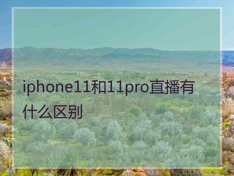 iphone11和11pro直播有什么区别