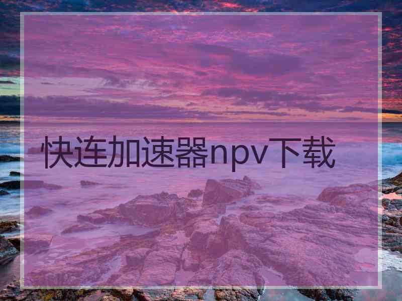 快连加速器npv下载