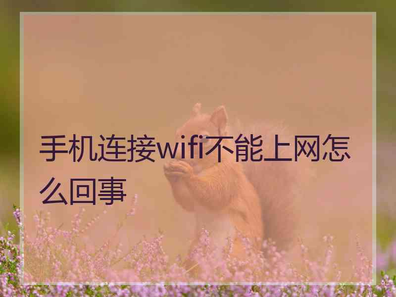 手机连接wifi不能上网怎么回事