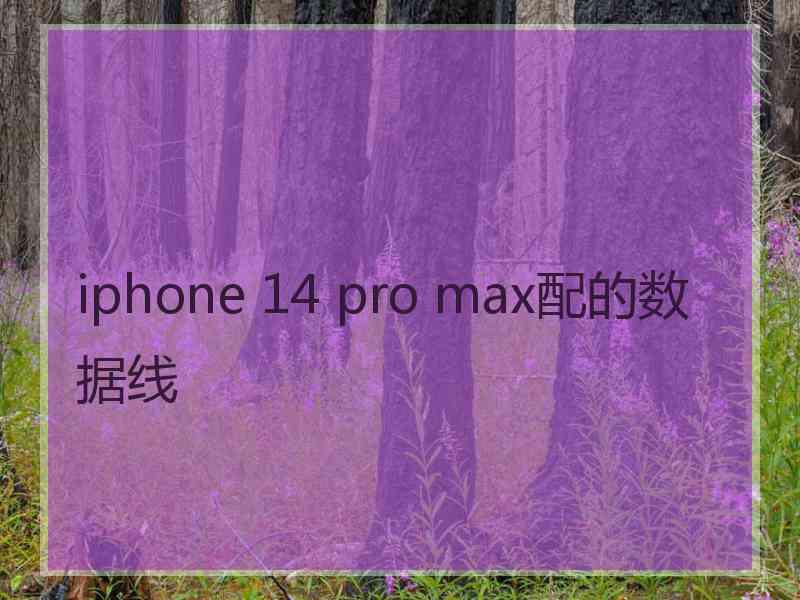 iphone 14 pro max配的数据线