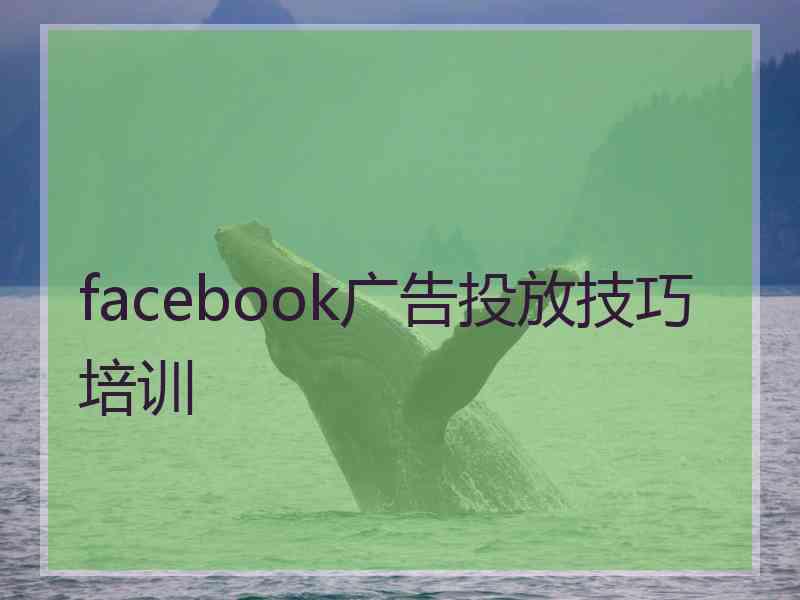 facebook广告投放技巧培训