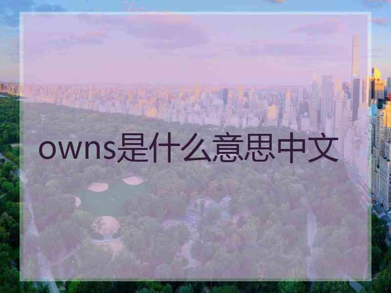 owns是什么意思中文