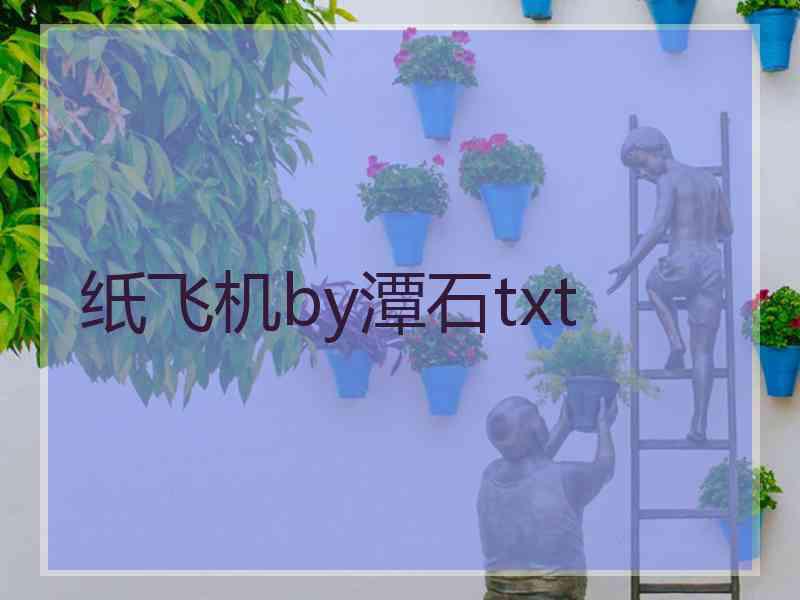 纸飞机by潭石txt