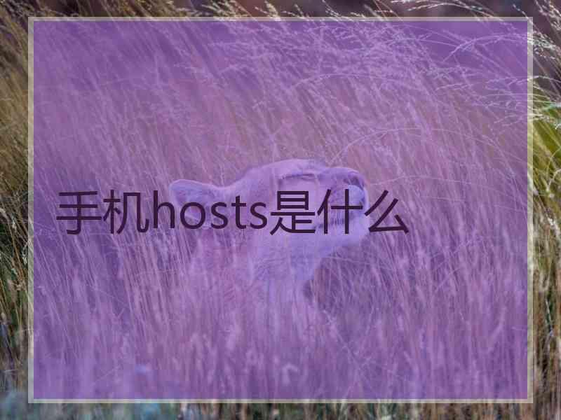 手机hosts是什么