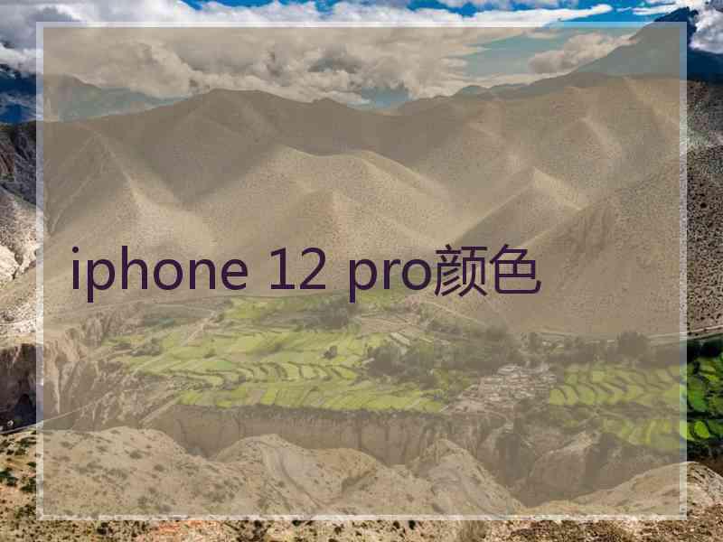 iphone 12 pro颜色