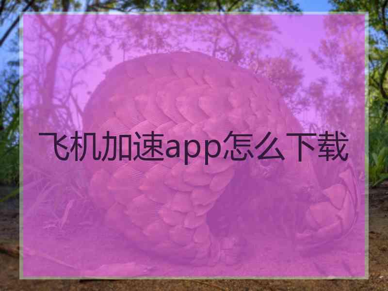 飞机加速app怎么下载