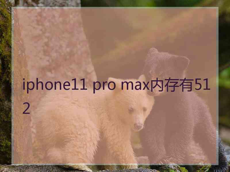 iphone11 pro max内存有512