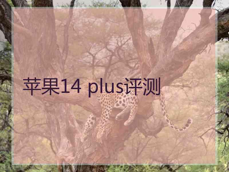 苹果14 plus评测