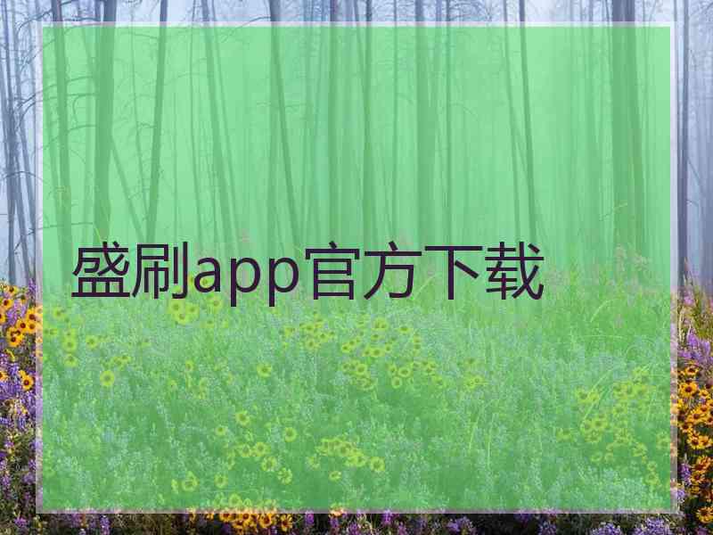 盛刷app官方下载