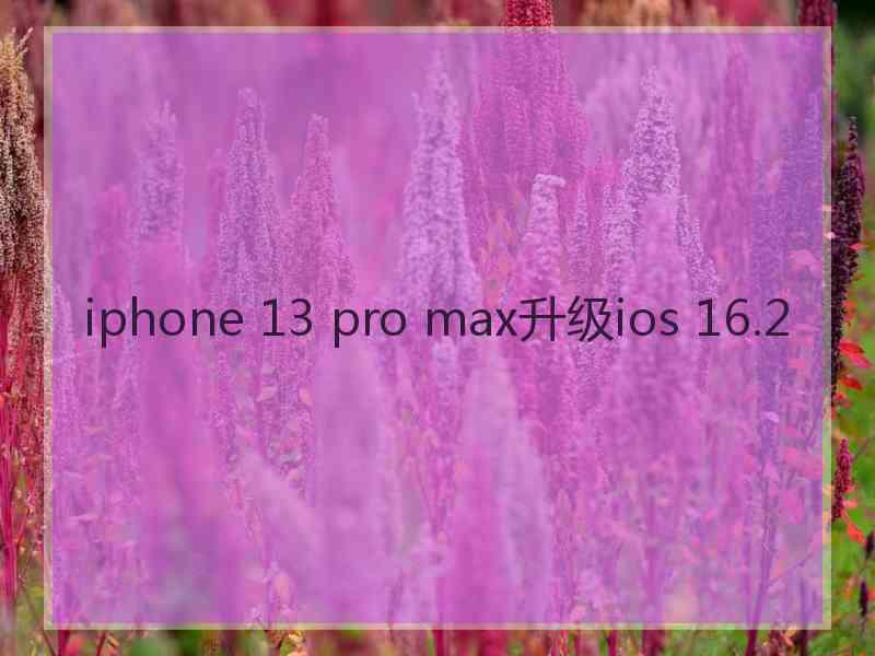 iphone 13 pro max升级ios 16.2