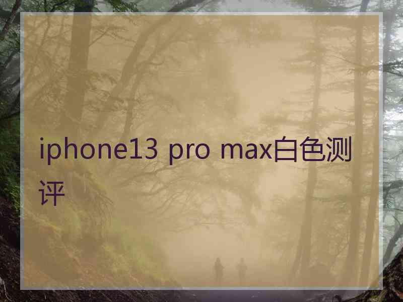 iphone13 pro max白色测评