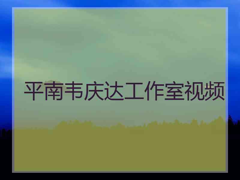 平南韦庆达工作室视频