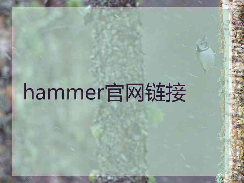 hammer官网链接