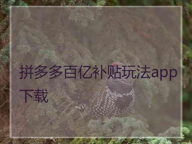 拼多多百亿补贴玩法app下载