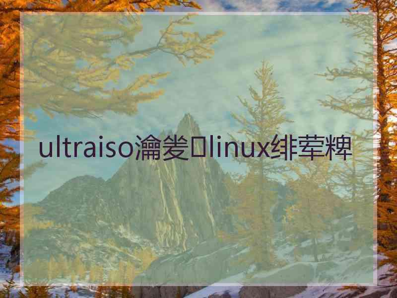 ultraiso瀹夎linux绯荤粺