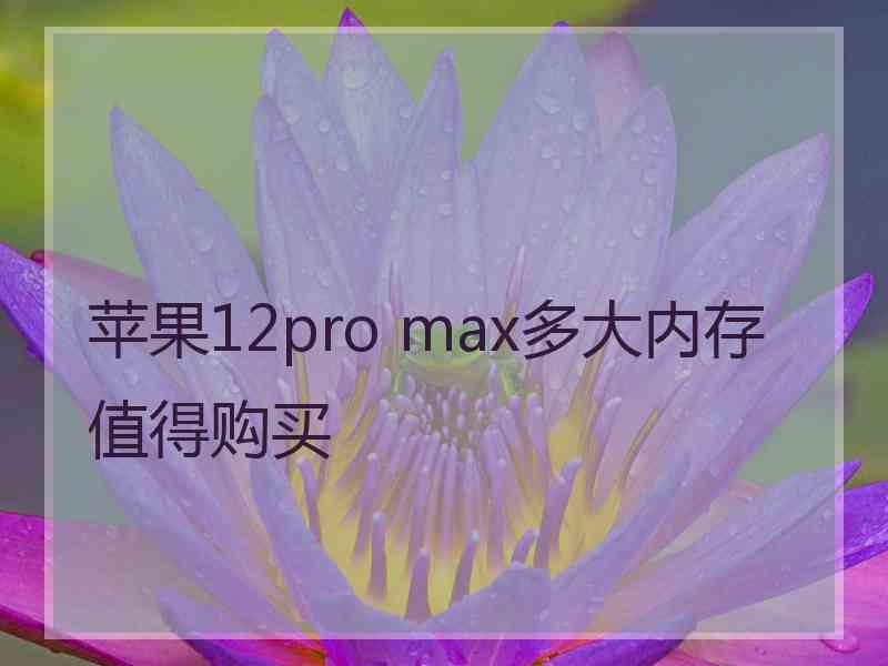 苹果12pro max多大内存值得购买