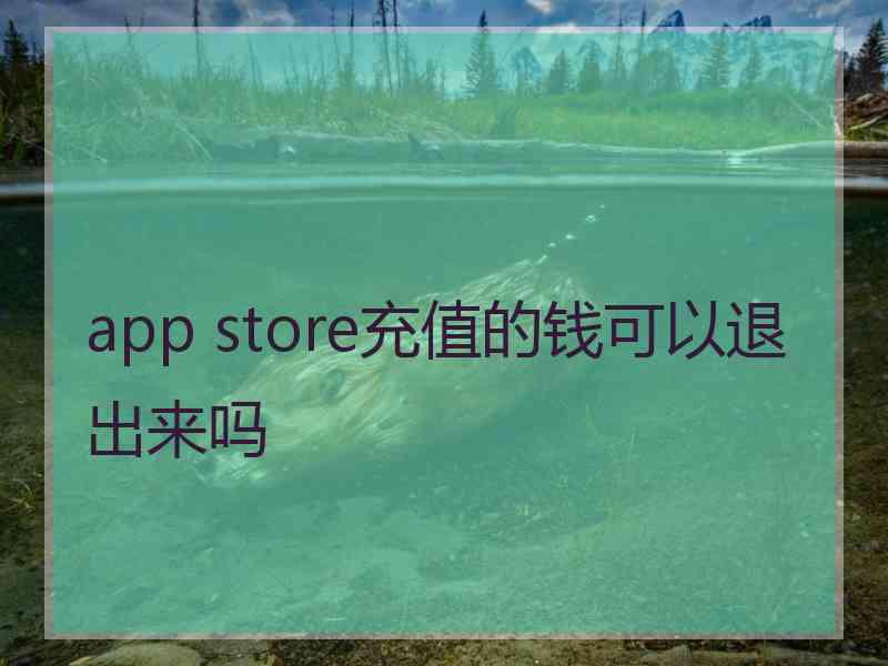 app store充值的钱可以退出来吗