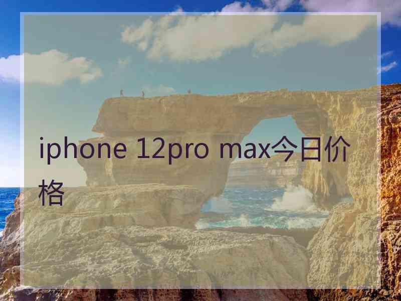 iphone 12pro max今日价格