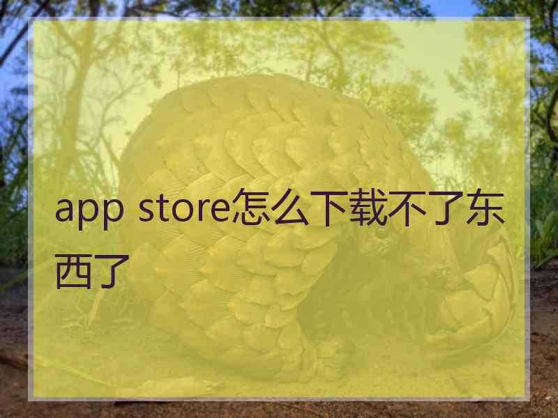 app store怎么下载不了东西了