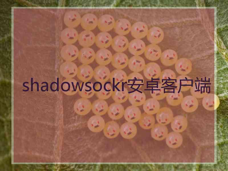 shadowsockr安卓客户端