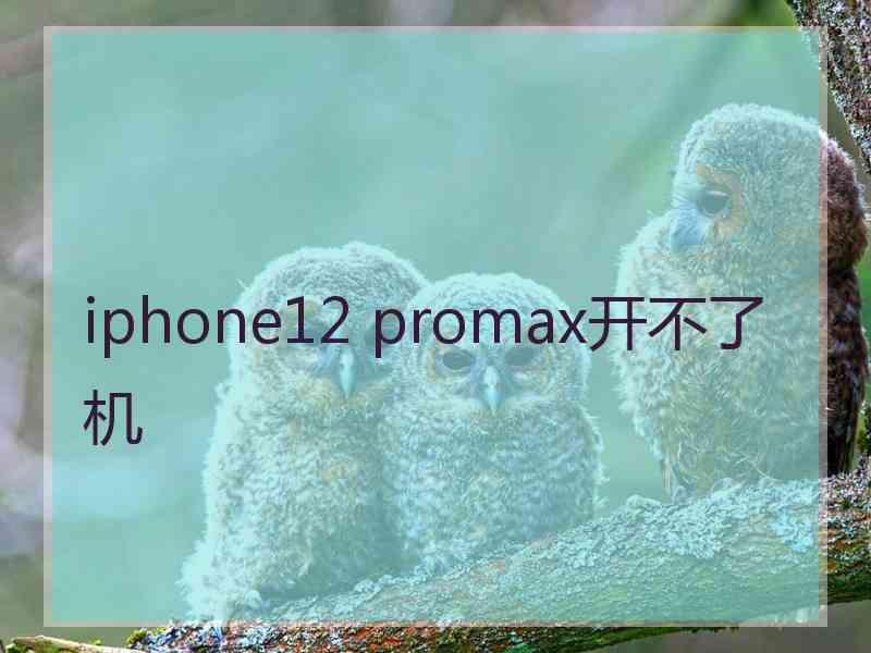 iphone12 promax开不了机