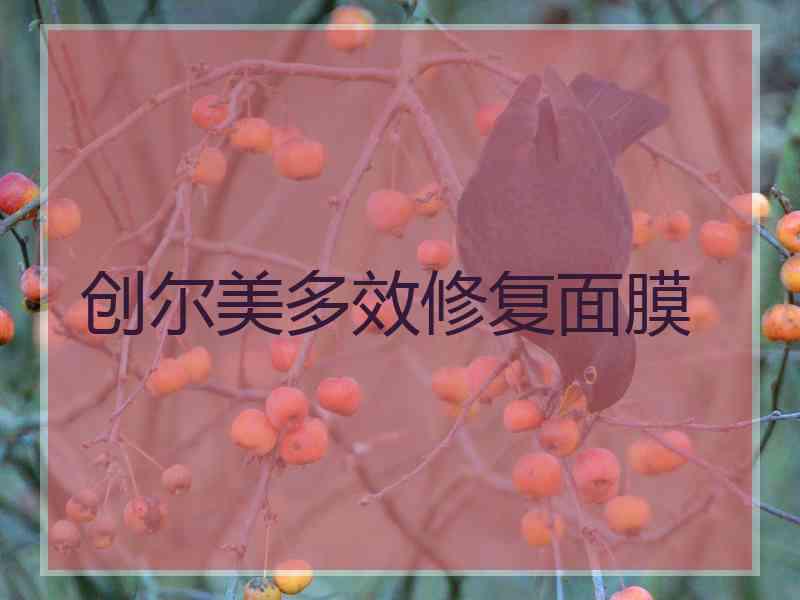 创尔美多效修复面膜