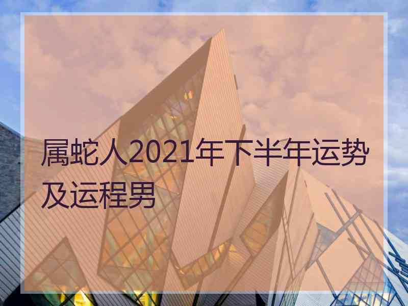 属蛇人2021年下半年运势及运程男