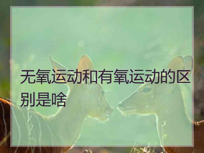 无氧运动和有氧运动的区别是啥