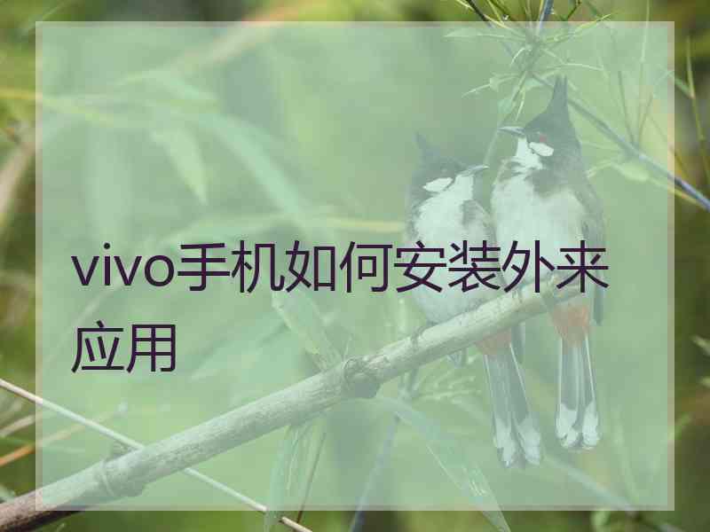 vivo手机如何安装外来应用