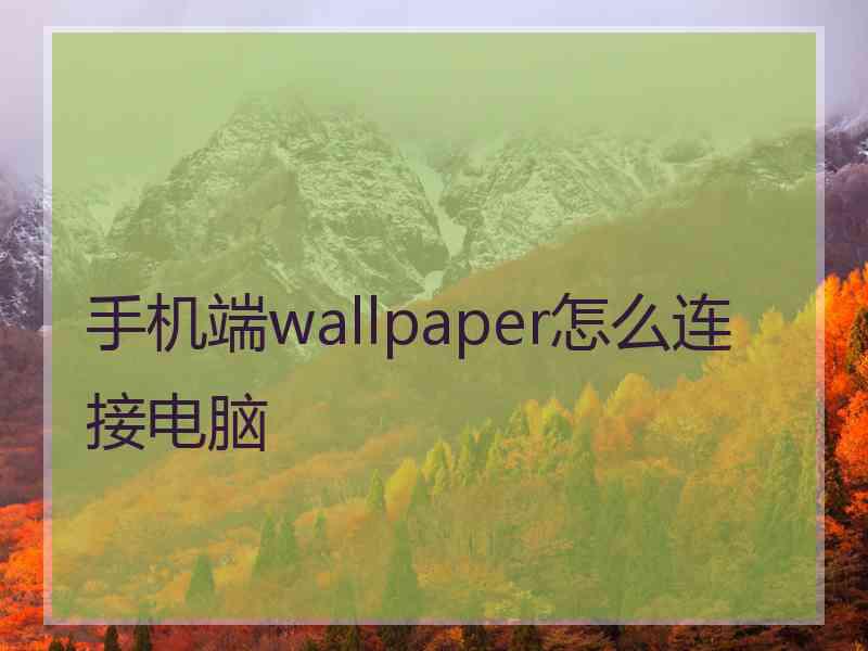 手机端wallpaper怎么连接电脑