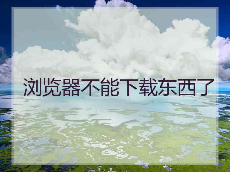 浏览器不能下载东西了