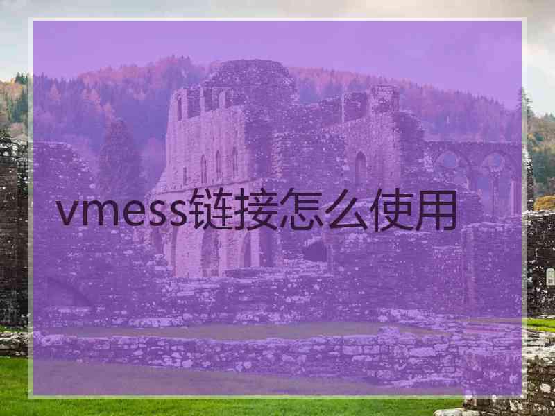 vmess链接怎么使用