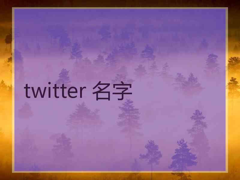 twitter 名字