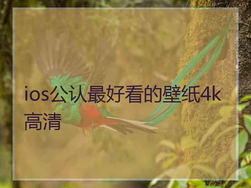 ios公认最好看的壁纸4k高清