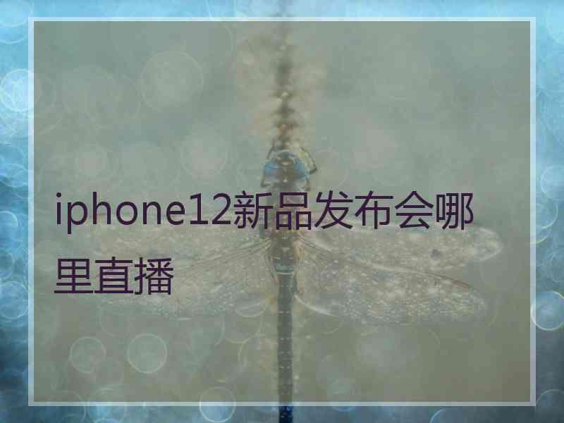 iphone12新品发布会哪里直播