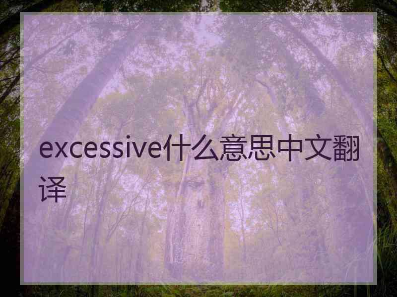 excessive什么意思中文翻译