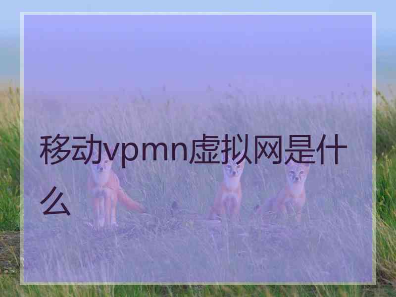 移动vpmn虚拟网是什么