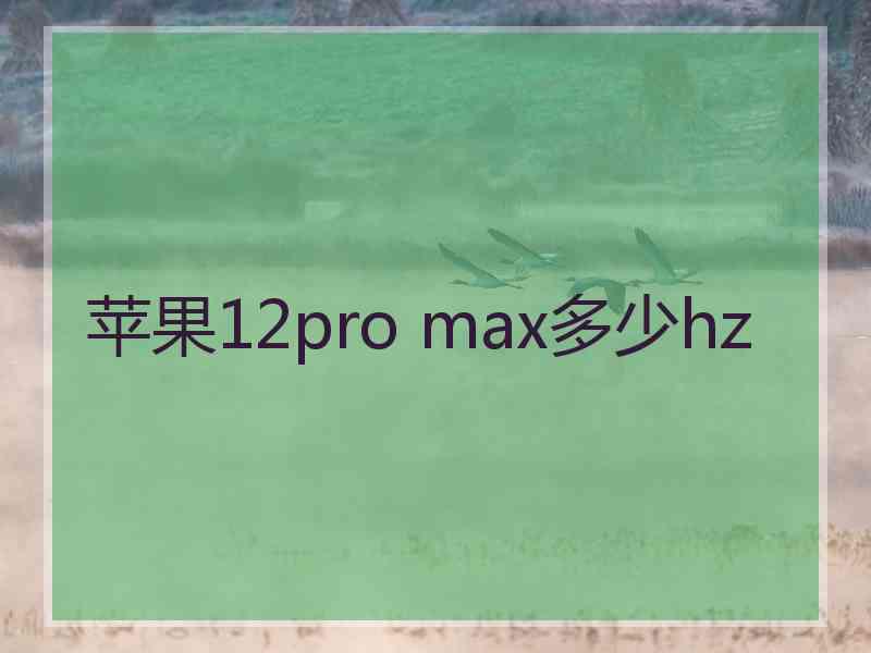 苹果12pro max多少hz