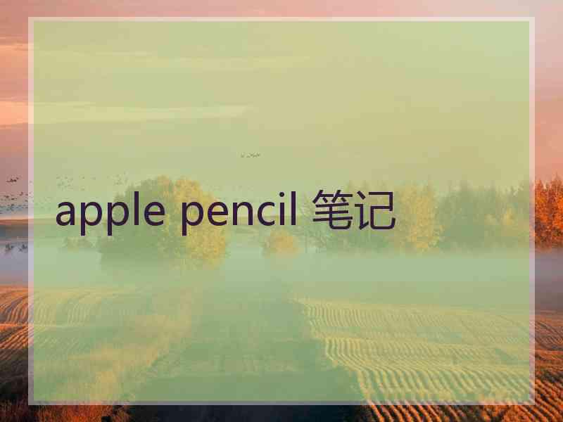 apple pencil 笔记