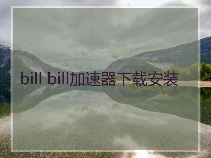 bill bill加速器下载安装