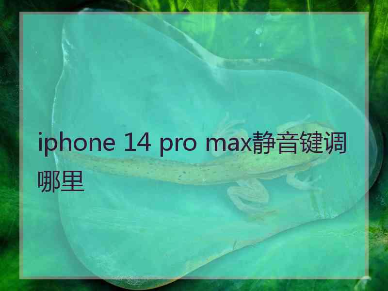 iphone 14 pro max静音键调哪里