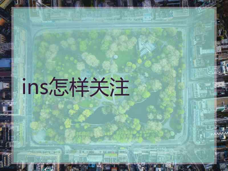 ins怎样关注