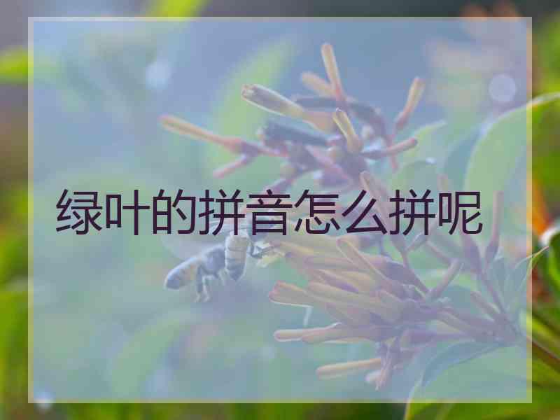 绿叶的拼音怎么拼呢