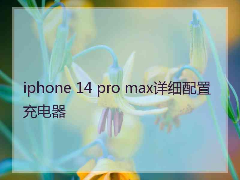 iphone 14 pro max详细配置充电器