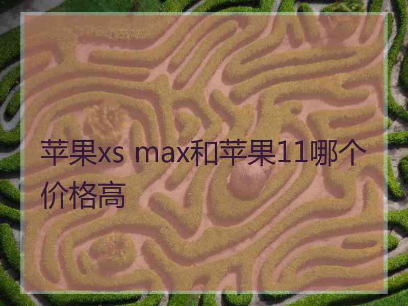 苹果xs max和苹果11哪个价格高