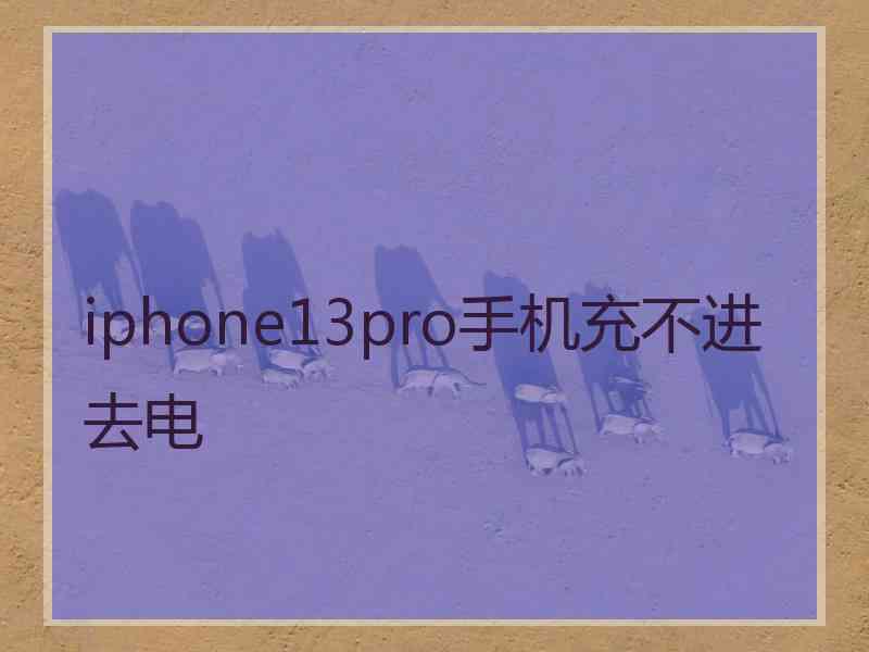 iphone13pro手机充不进去电