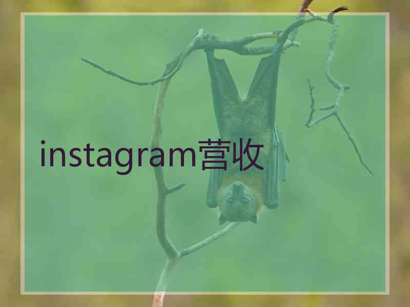 instagram营收